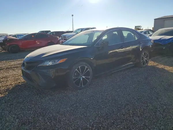 4T1G11AK1LU876313 2020 TOYOTA CAMRY