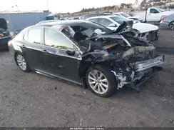 4T1G11AK1LU946926 2020 TOYOTA CAMRY