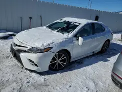 4T1G11AK1LU955397 2020 TOYOTA CAMRY