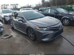 4T1G11AK1LU980865 2020 TOYOTA CAMRY