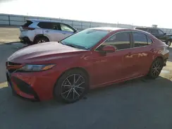 4T1G11AK1MU437596 2021 TOYOTA CAMRY