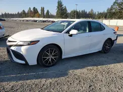 4T1G11AK1PU090419 2023 TOYOTA CAMRY