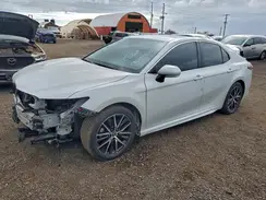 4T1G11AK1PU118381 2023 TOYOTA CAMRY
