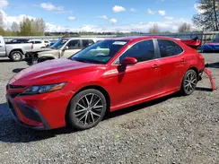 4T1G11AK1PU158217 2023 TOYOTA CAMRY