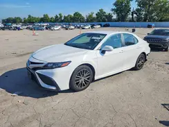 4T1G11AK1PU733884 2023 TOYOTA CAMRY