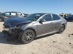 4T1G11AK1PU824704 2023 TOYOTA CAMRY