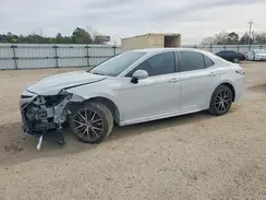 4T1G11AK1RU203532 2024 TOYOTA CAMRY