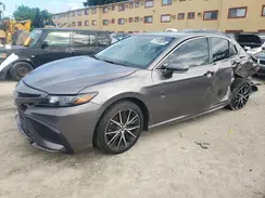 4T1G11AK1RU207404 2024 TOYOTA CAMRY
