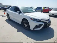 4T1G11AK1RU210237 2024 TOYOTA CAMRY