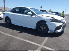 4T1G11AK1RU241486 2024 TOYOTA CAMRY
