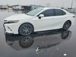 4T1G11AK1RU244260 2024 TOYOTA CAMRY
