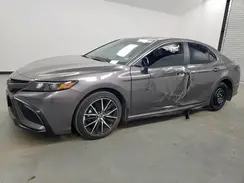 4T1G11AK1RU244498 2024 TOYOTA CAMRY