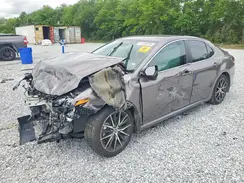 4T1G11AK1RU260779 2024 TOYOTA CAMRY