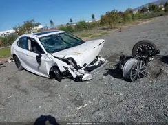 4T1G11AK1RU860007 2024 TOYOTA CAMRY