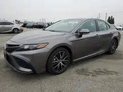 4T1G11AK1RU886736 2024 TOYOTA CAMRY