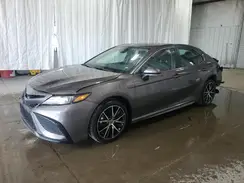 4T1G11AK1RU905253 2024 TOYOTA CAMRY