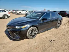 4T1G11AK2LU343810 2020 TOYOTA CAMRY