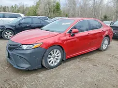 4T1G11AK2LU379187 2020 TOYOTA CAMRY