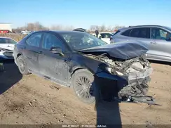 4T1G11AK2LU390335 2020 TOYOTA CAMRY