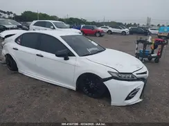 4T1G11AK2LU396698 2020 TOYOTA CAMRY