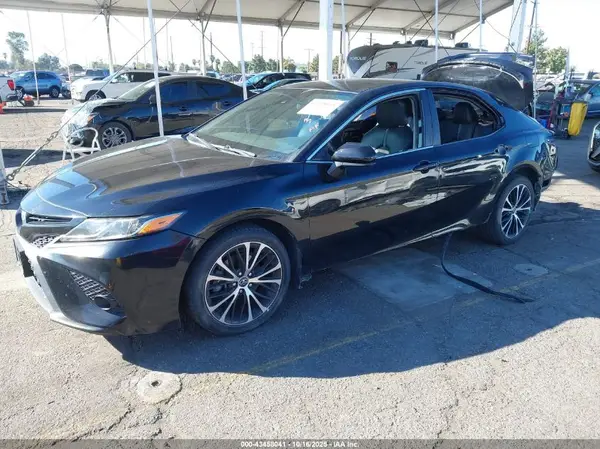 4T1G11AK2LU882203 2020 TOYOTA CAMRY - Image 2