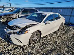 4T1G11AK2LU907035 2020 TOYOTA CAMRY