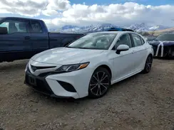4T1G11AK2LU922294 2020 TOYOTA CAMRY