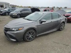 4T1G11AK2MU536296 2021 TOYOTA CAMRY