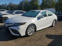 4T1G11AK2NU696387 2022 TOYOTA CAMRY