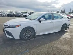4T1G11AK2PU810004 2023 TOYOTA CAMRY