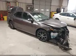 4T1G11AK2RU244333 2024 TOYOTA CAMRY