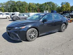 4T1G11AK2RU259284 2024 TOYOTA CAMRY