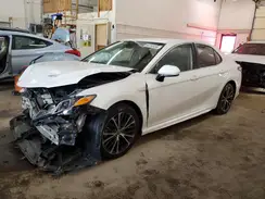 4T1G11AK3LU363130 2020 TOYOTA CAMRY