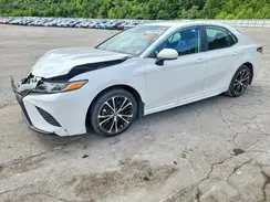4T1G11AK3LU504391 2020 TOYOTA CAMRY