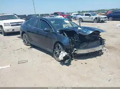 4T1G11AK3LU981290 2020 TOYOTA CAMRY