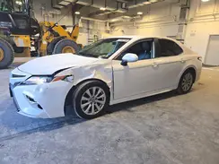 4T1G11AK3LU984190 2020 TOYOTA CAMRY