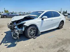 4T1G11AK3PU093757 2023 TOYOTA CAMRY