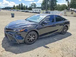 4T1G11AK3PU095377 2023 TOYOTA CAMRY