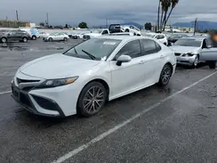 4T1G11AK3PU103011 2023 TOYOTA CAMRY