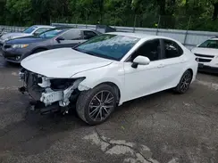 4T1G11AK3PU115501 2023 TOYOTA CAMRY