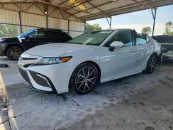4T1G11AK3PU123324 2023 TOYOTA CAMRY