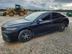 4T1G11AK3PU743882 2023 TOYOTA CAMRY