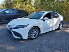 4T1G11AK3PU787302 2023 TOYOTA CAMRY