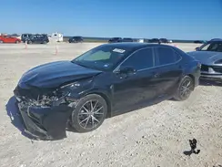 4T1G11AK3PU815096 2023 TOYOTA CAMRY