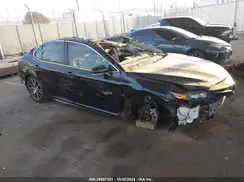 4T1G11AK3RU224172 2024 TOYOTA CAMRY