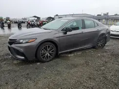 4T1G11AK3RU869114 2024 TOYOTA CAMRY