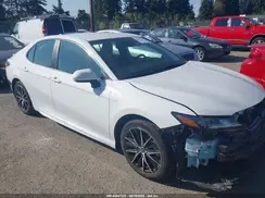 4T1G11AK3RU878279 2024 TOYOTA CAMRY