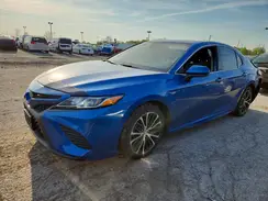 4T1G11AK4LU305365 2020 TOYOTA CAMRY