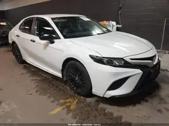 4T1G11AK4LU347311 2020 TOYOTA CAMRY