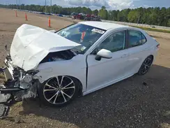 4T1G11AK4LU355893 2020 TOYOTA CAMRY